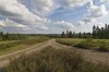 trupbacher heide - (c) r pattke.jpg